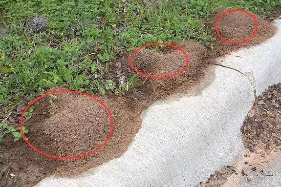 小心<strong></p>
<p>lisk虚拟币</strong>！毒性强！福州又发现了！千万别碰