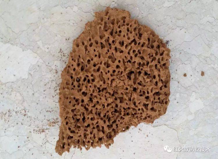 小心<strong></p>
<p>lisk虚拟币</strong>！毒性强！福州又发现了！千万别碰