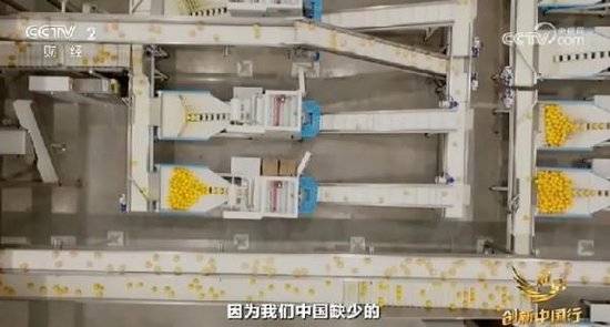 2024年末央视再度专访钟睒睒<strong></p>
<p>虚拟币dk</strong>，背后有何深意？