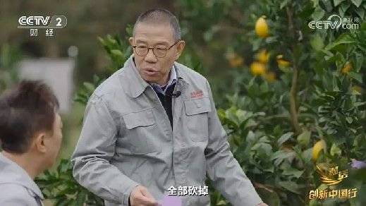 2024年末央视再度专访钟睒睒<strong></p>
<p>虚拟币dk</strong>，背后有何深意？