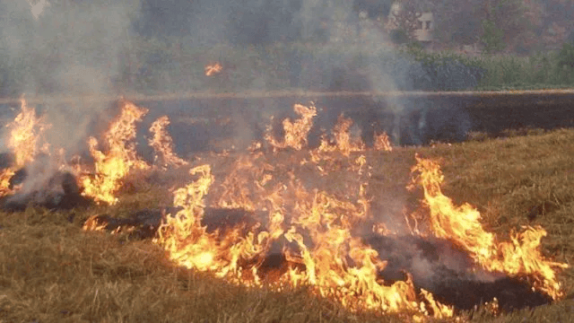 唐山各乡镇、村落一律禁止<strong></p>
<p>洛克币虚拟货币</strong>！多名村民被罚