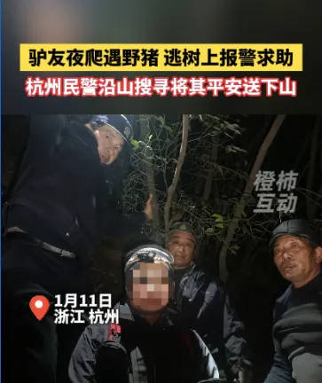 “我现在在树上<strong></p>
<p>虚拟币api</strong>，野猪在下面……”杭州一男子深夜报警！