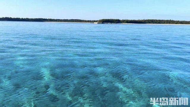 青岛女子买下70万平米小岛后续来了：目前没打算私有<strong></p>
<p>虚拟币api</strong>，七八月份将带员工到岛上团建