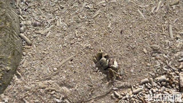 青岛女子买下70万平米小岛后续来了：目前没打算私有<strong></p>
<p>虚拟币api</strong>，七八月份将带员工到岛上团建