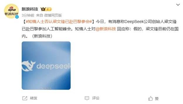 DeepSeek梁文锋用黑科技远程参加巴黎AI峰会？假的<strong></p>
<p>ltc</strong>！
