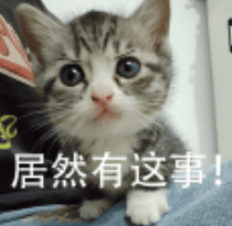 天塌了<strong></p>
<p>原油鱼</strong>， 一次性筷子都是用二氧化硫漂白的！？