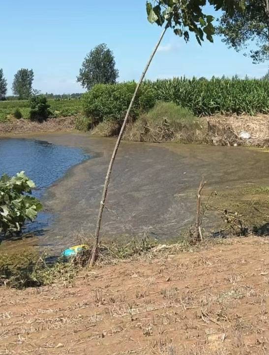 “女生遭侵犯落水被阻挡上岸至溺亡”案续：检方提起抗诉<strong></p>
<p>炒原油</strong>，建议死刑