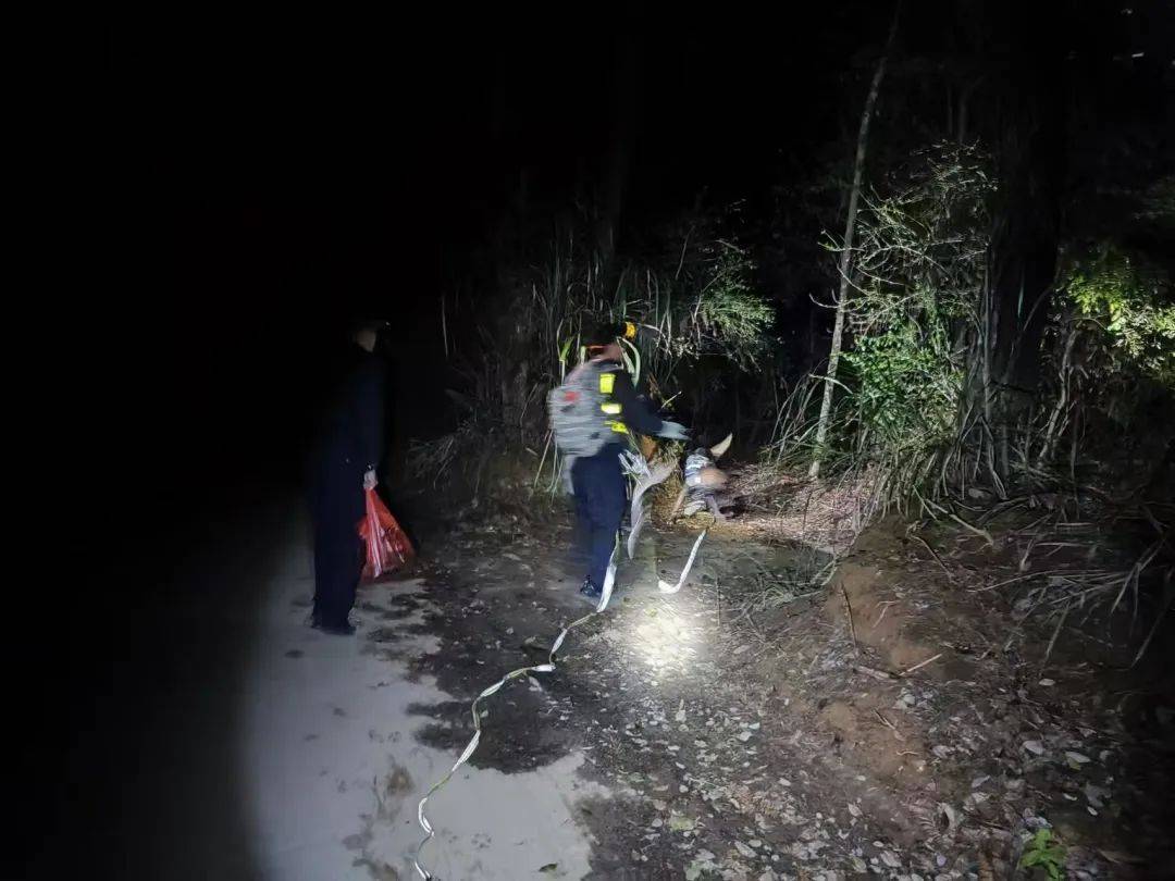 因思念在外务工妈妈<strong></p>
<p>布兰特原油</strong>，8岁姐姐和4岁弟弟带零食手电“去旅行”失联，江西警方连夜搜寻