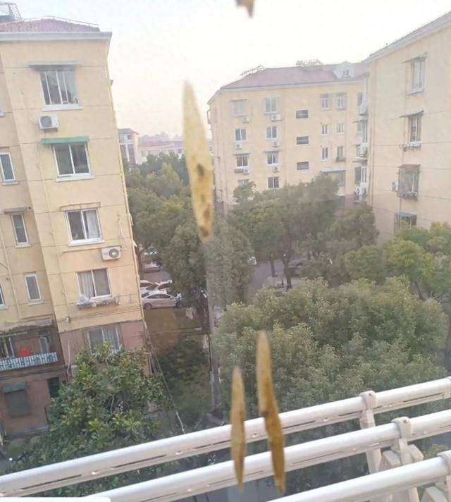 热闻|孩子从楼上抛下湿纸团<strong></p>
<p>期货原油</strong>，家长赔了7000元！高空抛物应承担哪些法律责任？