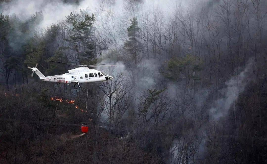 已致4名消防员遇难<strong></p>
<p>国际原油大涨</strong>！多地进入“灾难状态”