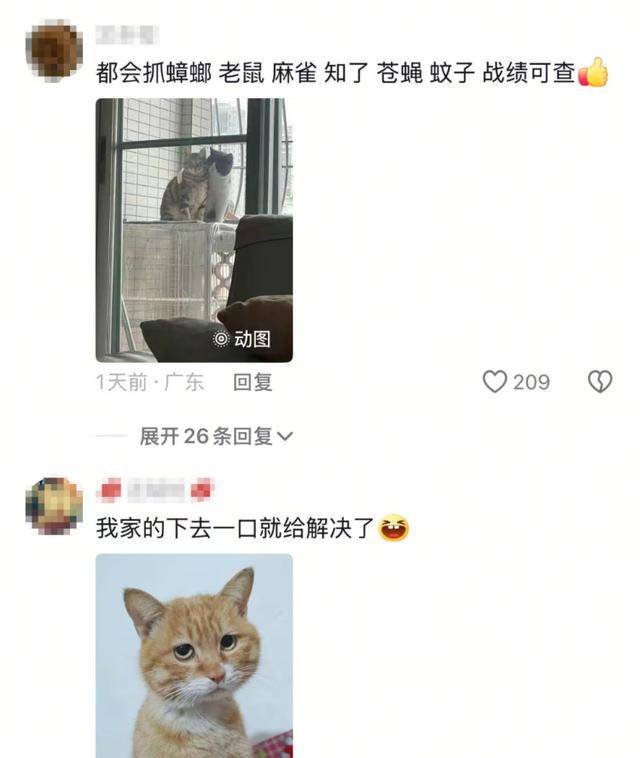 老鼠掉进泳池<strong></p>
<p>1吨原油多少桶</strong>，广东大叔出动鸡猫狗团队，结果全被老鼠吓跑！网友坐不住纷纷晒战绩