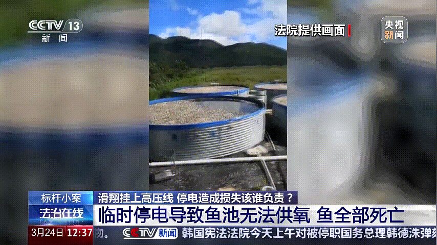 深圳女子被挂高压线！停电救援<strong></p>
<p>1吨原油多少桶</strong>，9池鱼死光！他怒上法庭……