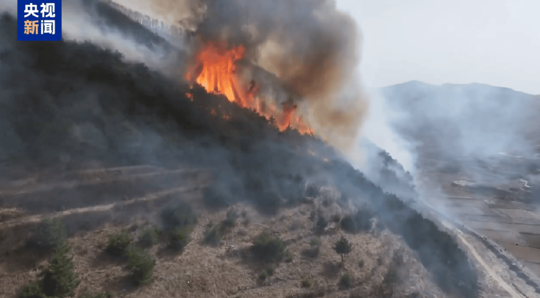 山西发生一起火情<strong></p>
<p>1吨原油多少桶</strong>！最新消息：纵火人员已被抓获