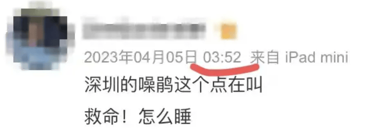 “周末想睡个懒觉都不行”<strong></p>
<p>国际原油新闻</strong>，有多少深圳人被这种鸟吵到神经衰弱