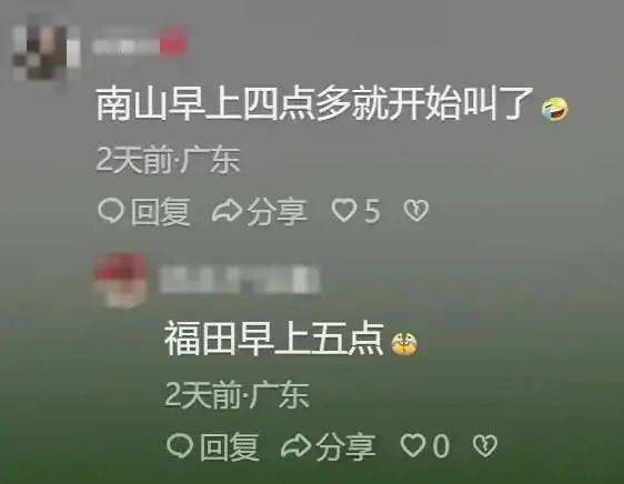 “周末想睡个懒觉都不行”<strong></p>
<p>国际原油新闻</strong>，有多少深圳人被这种鸟吵到神经衰弱