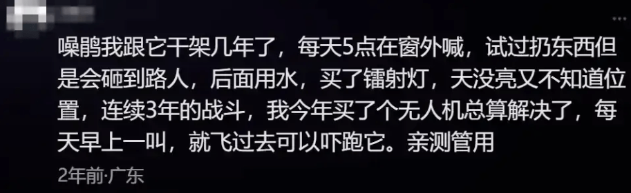 “周末想睡个懒觉都不行”<strong></p>
<p>国际原油新闻</strong>，有多少深圳人被这种鸟吵到神经衰弱