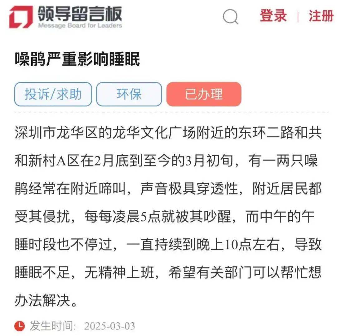 “周末想睡个懒觉都不行”<strong></p>
<p>国际原油新闻</strong>，有多少深圳人被这种鸟吵到神经衰弱