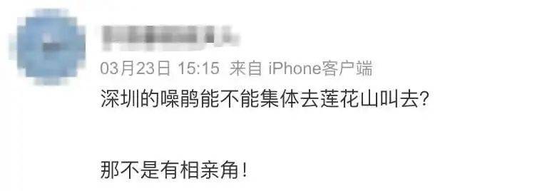 “周末想睡个懒觉都不行”<strong></p>
<p>国际原油新闻</strong>，有多少深圳人被这种鸟吵到神经衰弱