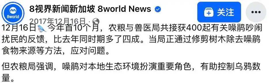 “周末想睡个懒觉都不行”<strong></p>
<p>国际原油新闻</strong>，有多少深圳人被这种鸟吵到神经衰弱