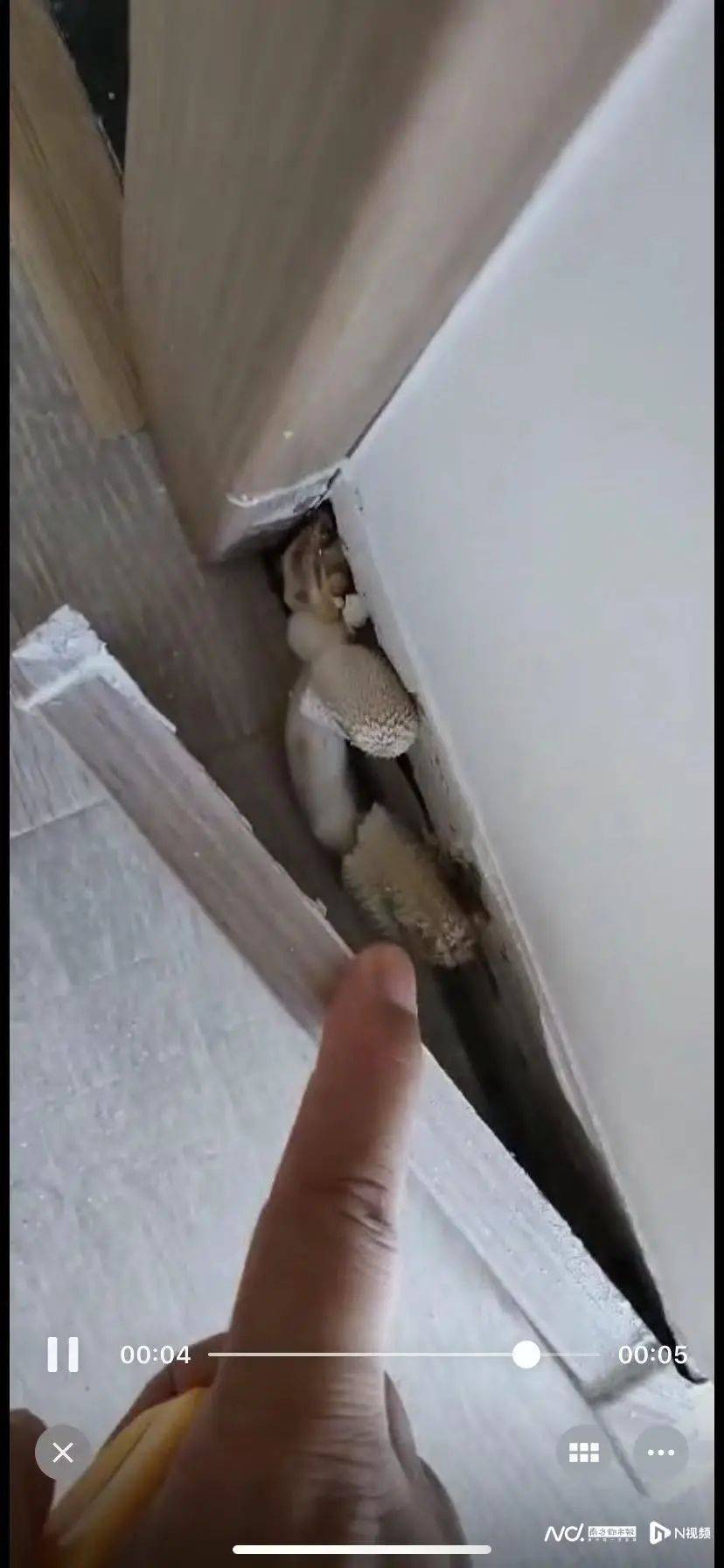 “深更半夜<strong></p>
<p>原油视频</strong>，又掉一大块下来”！广东一小区业主怒了