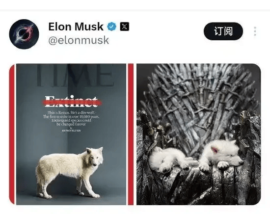 《权力的游戏》中的冰原狼被这家公司复活<strong></p>
<p>原油桃</strong>，马斯克发帖关注