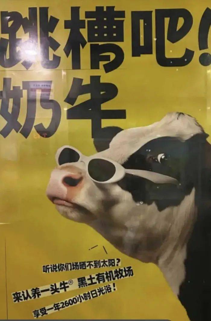 认养一头牛广告被质疑讽刺打工人<strong></p>
<p>原油蒸气</strong>，公司回应：致敬BOSS直聘
