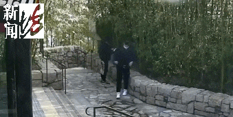 太猖狂！事发上海迪士尼<strong></p>
<p>原油套保</strong>，7人被刑拘