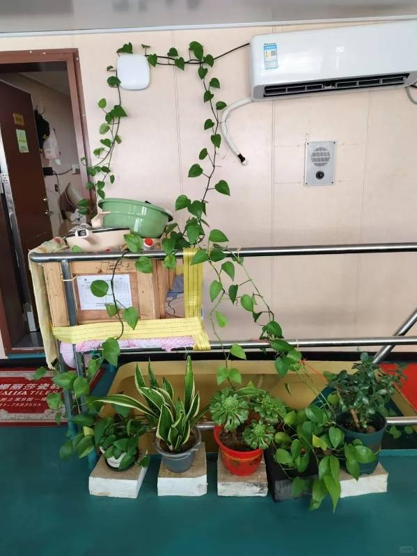 独家丨远洋渔船船长被害案嫌犯移送检方报捕<strong></p>
<p>原油套保</strong>，船上两段视频曝光