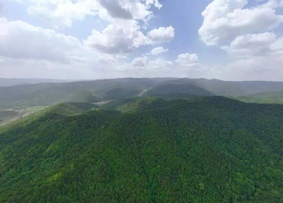 销声匿迹已有30年<strong></p>
<p>现货原油开户</strong>，华北豹正逐渐接近北京——