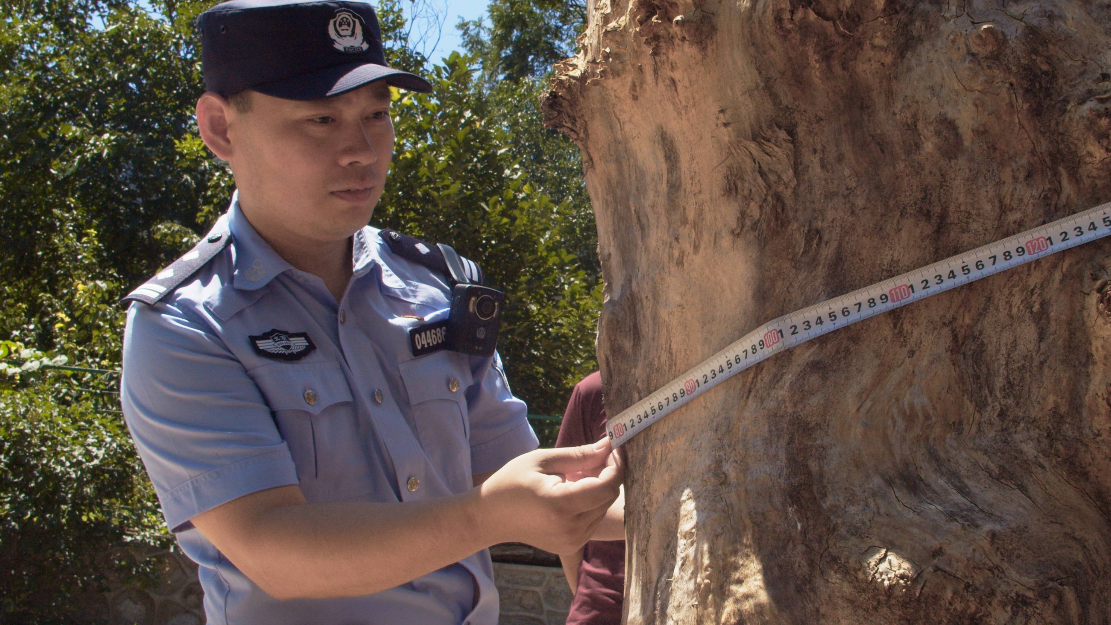 森林警察韩孟祺：乔装成驴友潜伏密林中<strong></p>
<p>白银现货原油</strong>，抓获“粘鸟”嫌疑人