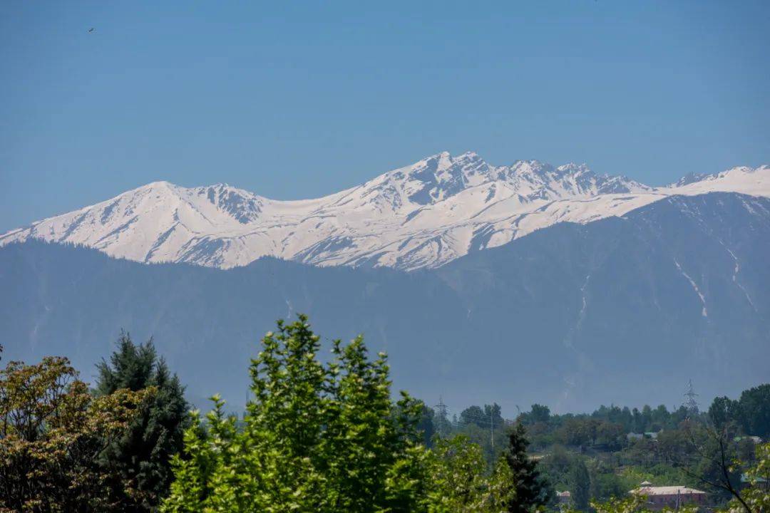 突发！巴基斯坦：击落印军无人机！印控克什米尔地区48处景点被关闭<strong></p>
<p>国际原油开户</strong>，巴防长：不会爆发核战！中方表态