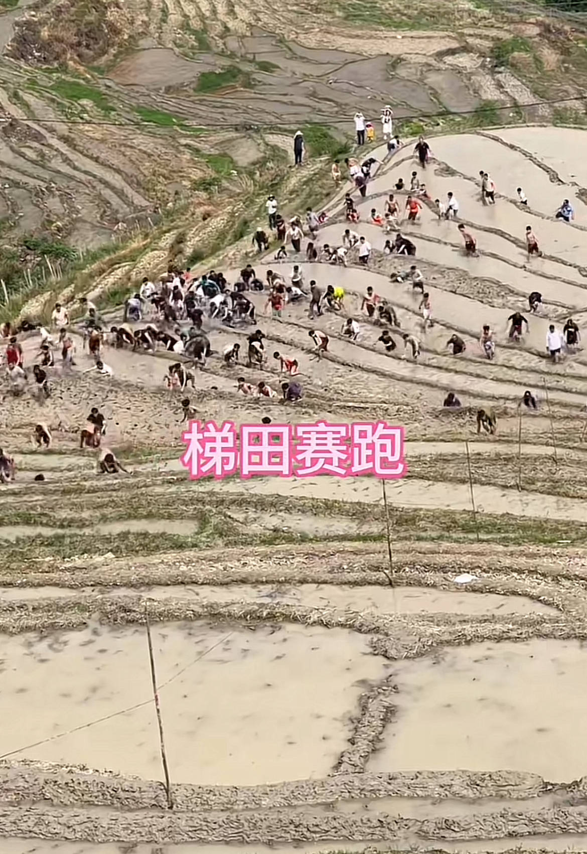 桂林一景区回应爬梯田比赛前两名半坡起跑作弊：游客赛前试爬后躺半坡<strong></p>
<p>原油期货交易时间</strong>，工作人员没发现