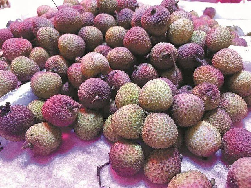 大跳水<strong></p>
<p>取原油</strong>，暴跌40%！老板：一天一个价，估计还要跌