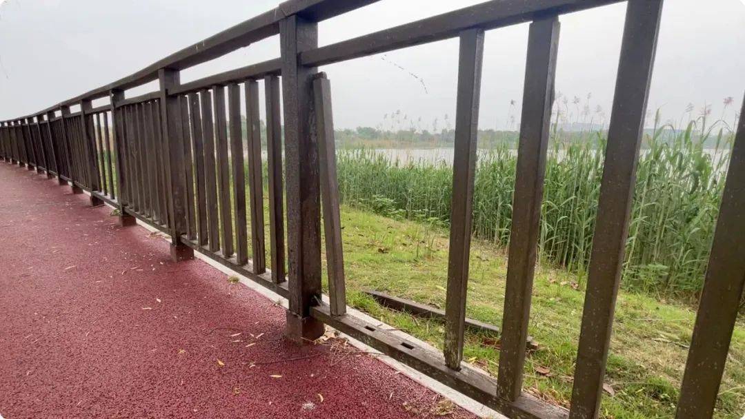 南京市市长陈之常走进直播间<strong></p>
<p>原油投资交易</strong>，现场责令核查燃气二次收费