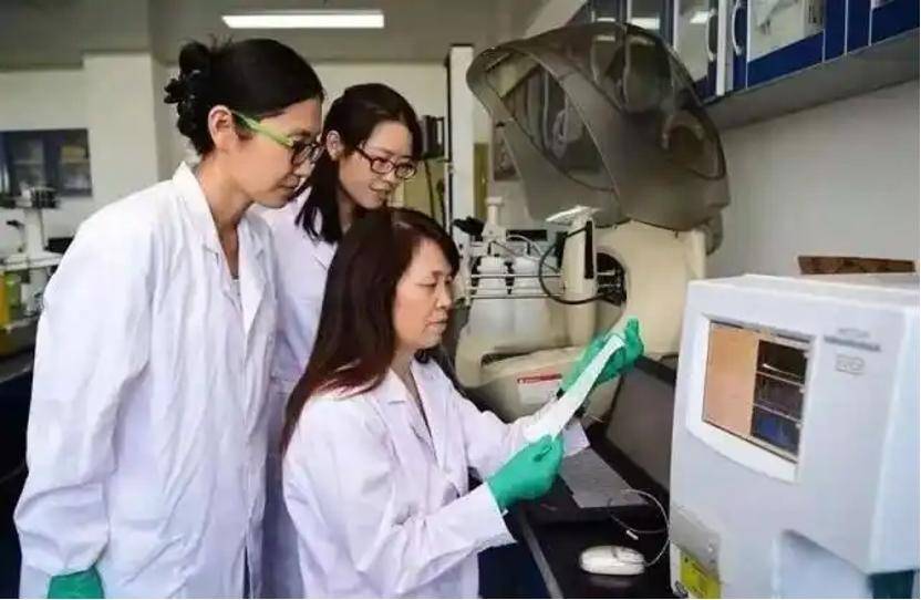 深挖 | “西北大学副校长范代娣成陕西首富”系乌龙<strong></p>
<p>原油投资交易</strong>，但她的人生如同开挂