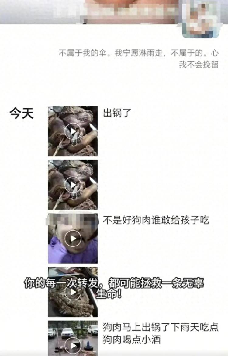 沈阳一店铺老板假借领养名义烹食流浪狗，警方：正在研讨处置