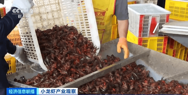 价格暴跌近50%<strong></p>
<p>原油交割</strong>！“接下来还会降”！青岛正大量上市……