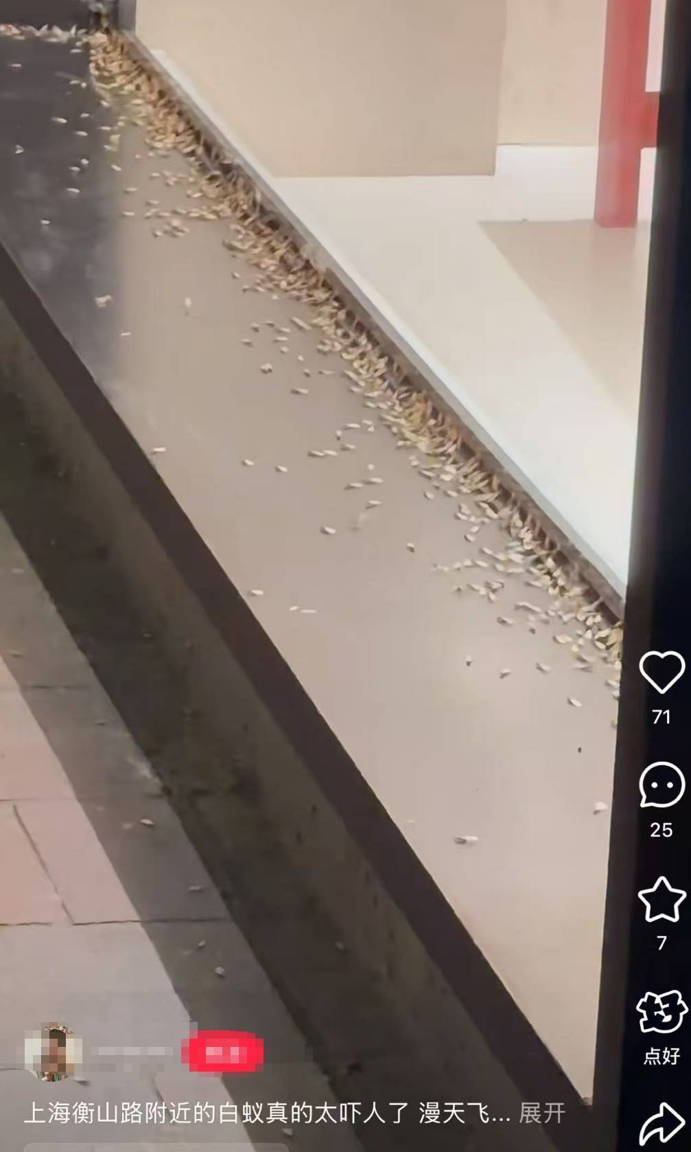 紧急提醒：瞬间爆发！上海市民崩溃：密密麻麻<strong></p>
<p>原油期货门槛</strong>，蠕蠕爬行...“梧桐区”已开始战斗，白蚁或提前分飞