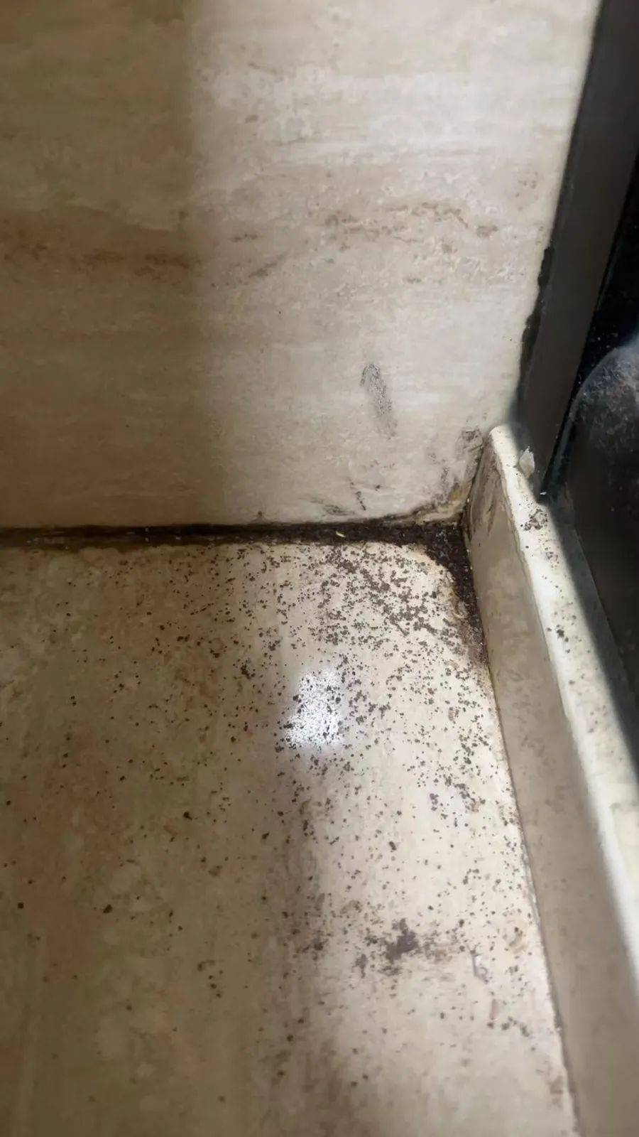 紧急提醒：瞬间爆发！上海市民崩溃：密密麻麻<strong></p>
<p>原油期货门槛</strong>，蠕蠕爬行...“梧桐区”已开始战斗，白蚁或提前分飞