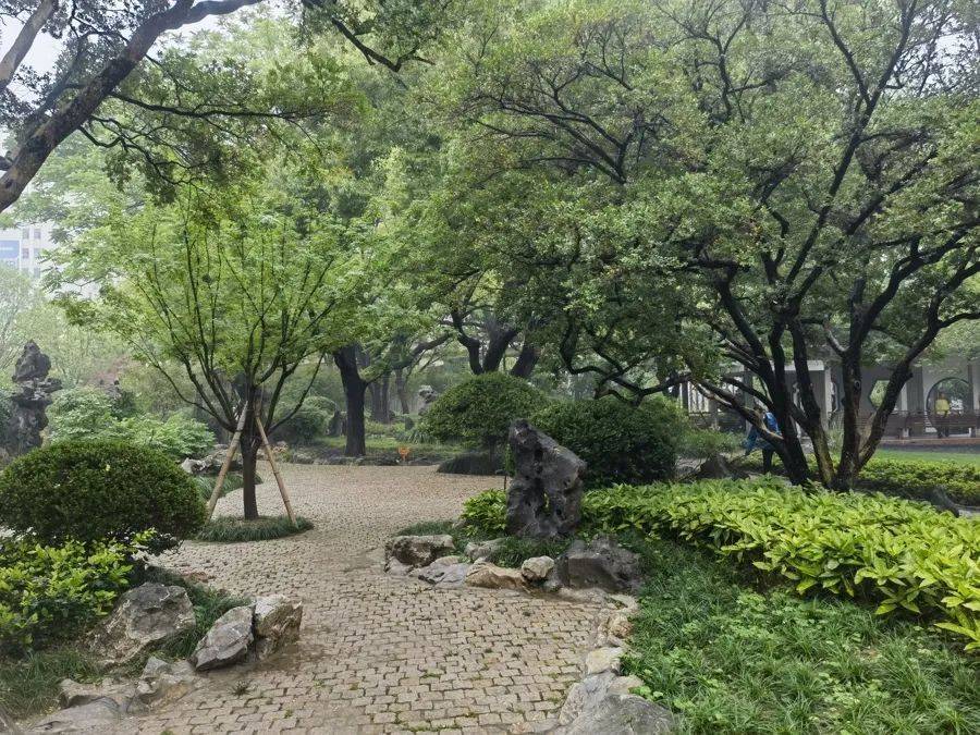 紧急提醒：瞬间爆发！上海市民崩溃：密密麻麻<strong></p>
<p>原油期货门槛</strong>，蠕蠕爬行...“梧桐区”已开始战斗，白蚁或提前分飞