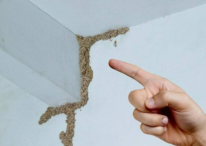 紧急提醒：瞬间爆发！上海市民崩溃：密密麻麻<strong></p>
<p>原油期货门槛</strong>，蠕蠕爬行...“梧桐区”已开始战斗，白蚁或提前分飞