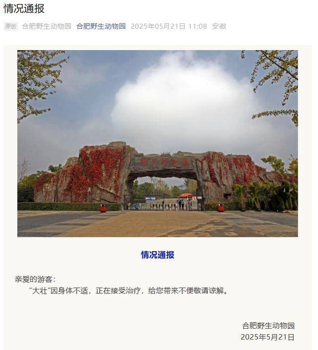 网红猴“大壮”突然离世<strong></p>
<p>康原油</strong>！曾因方脸“丑”出圈