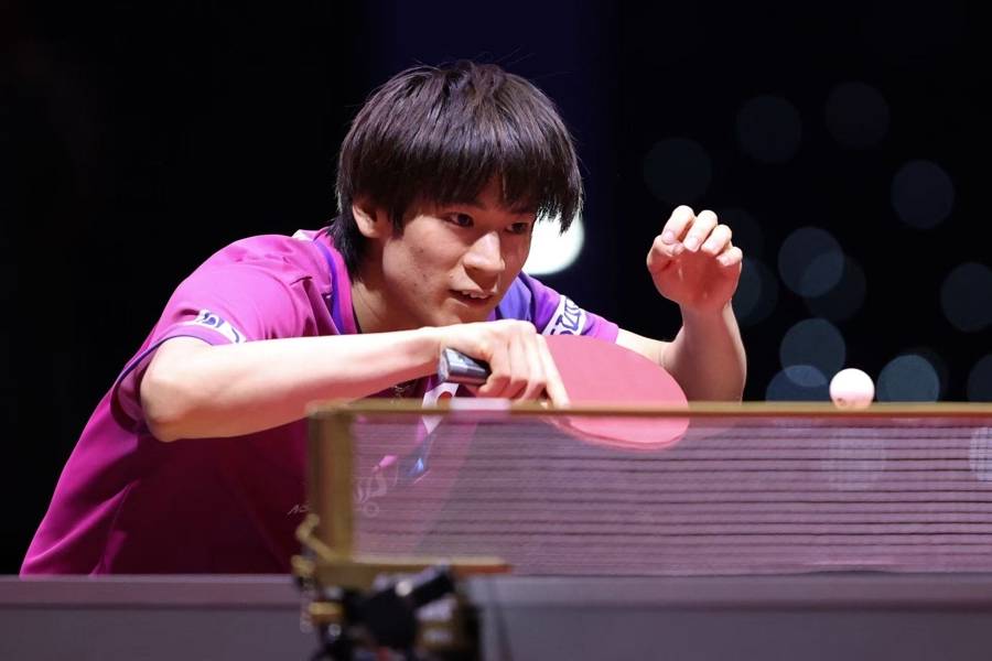 多哈世乒赛｜张本智和男单男双双线告负<strong></p>
<p>康原油</strong>，第五次世乒赛之旅草草收兵