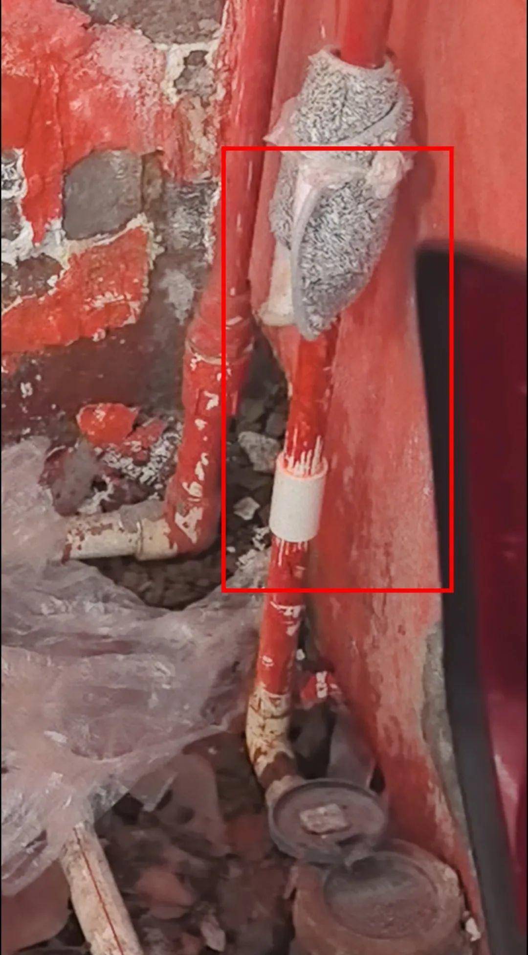 侄女与姑姑争祖父留下的门面<strong></p>
<p>原油最新走势</strong>，长沙租客“躺枪”：我被打了，店也被锁了！