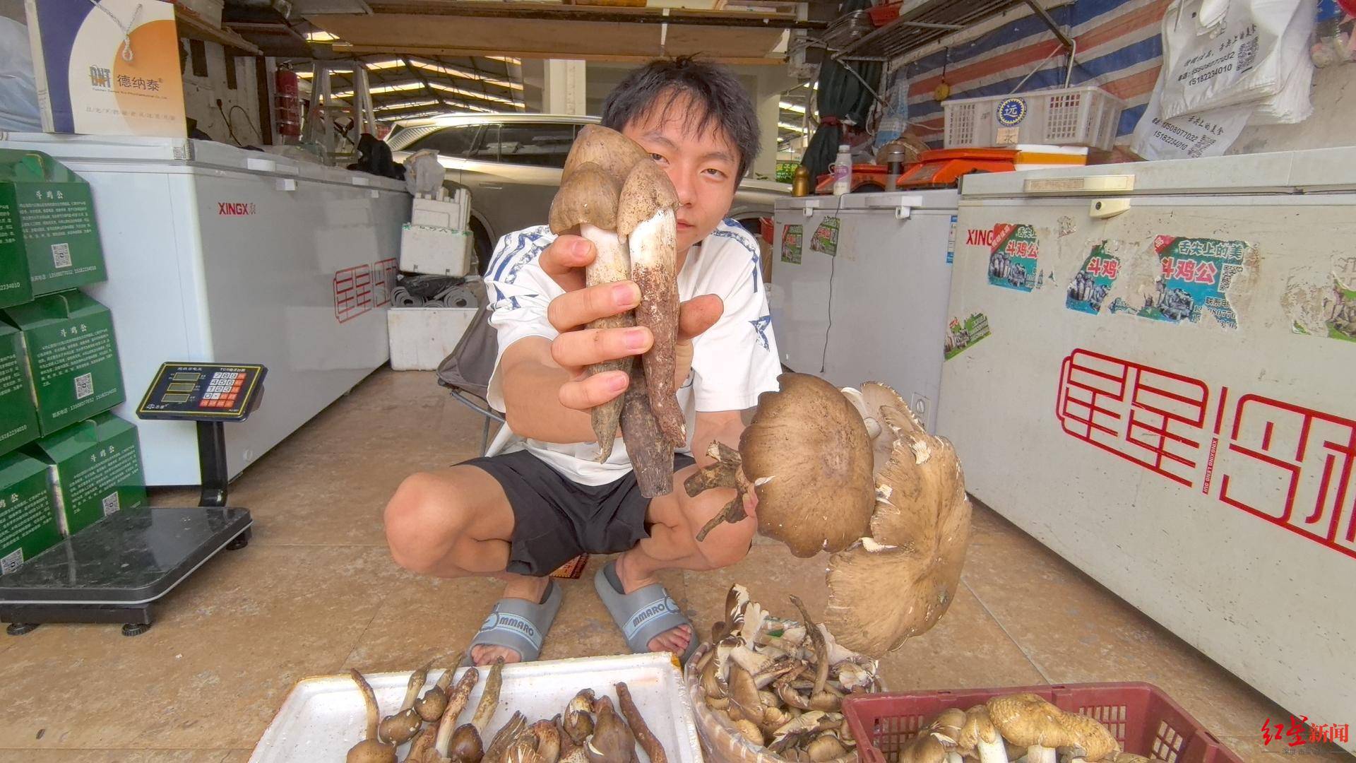 “天价”鸡枞调查：最贵卖到1800元/公斤！雨水少致产量低<strong></p>
<p>国际原油行情实时行情</strong>，多地价高客少