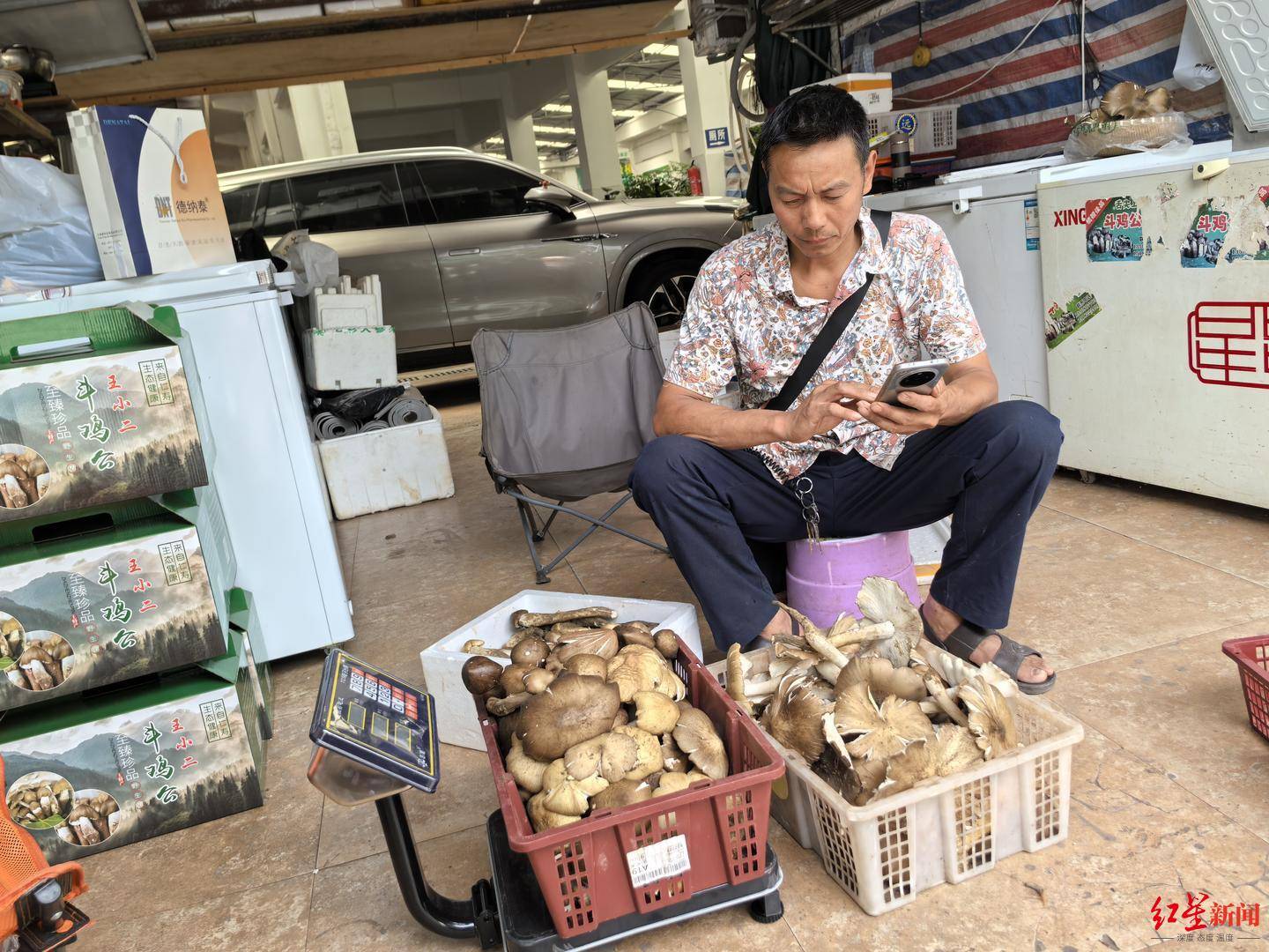 “天价”鸡枞调查：最贵卖到1800元/公斤！雨水少致产量低<strong></p>
<p>国际原油行情实时行情</strong>，多地价高客少