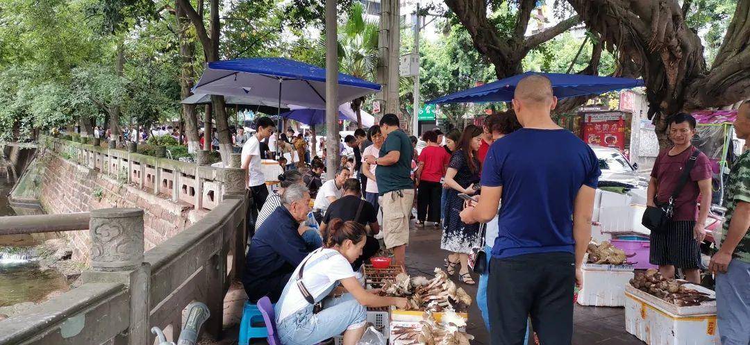 “天价”鸡枞调查：最贵卖到1800元/公斤！雨水少致产量低<strong></p>
<p>国际原油行情实时行情</strong>，多地价高客少