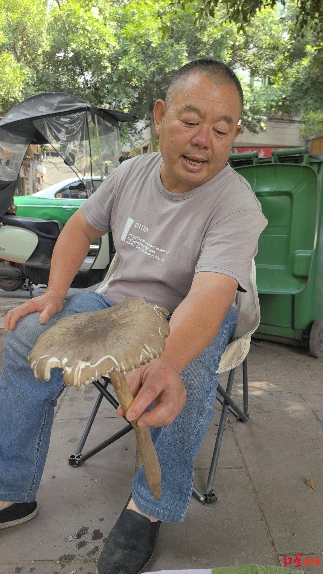 “天价”鸡枞调查：最贵卖到1800元/公斤！雨水少致产量低<strong></p>
<p>国际原油行情实时行情</strong>，多地价高客少