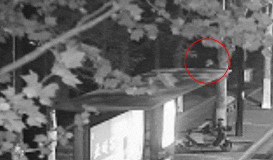 江苏一男子戴仿真“人皮”面具入室盗窃<strong></p>
<p>国际原油行情实时行情</strong>，流窜多个小区作案，涉案金额达15万余元