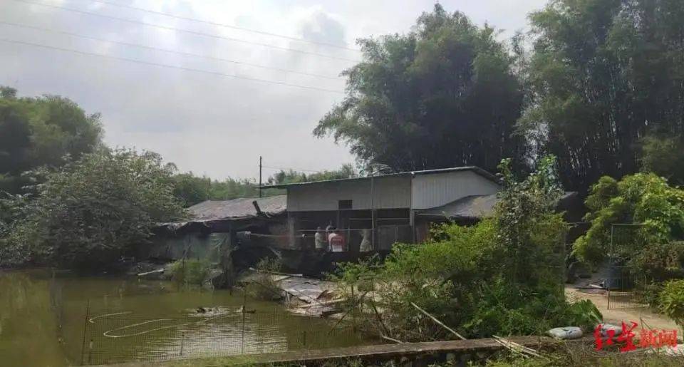 男子杀害母亲和女友后带嫂嫂潜逃32年落网<strong></p>
<p>国际原油行情实时行情</strong>,两人育有一儿一女,侦破细节披露